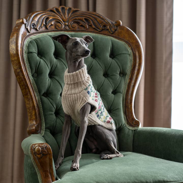 Alqo Wasi - Wholesale Pet Sweater - Dog - Flower Alpaca Dog Sweater4