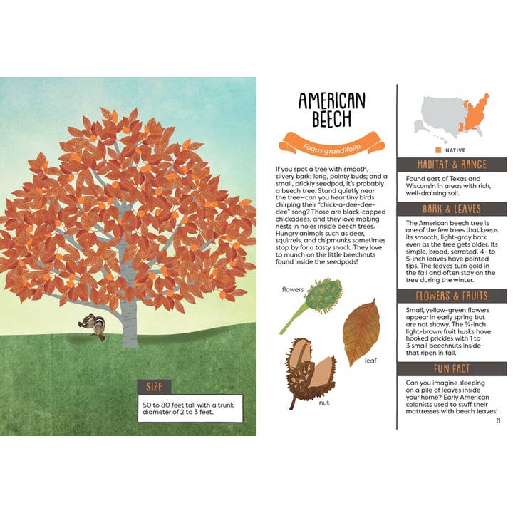 Gibbs Smith - Wholesale Nature & Outdoors - Kid’s Guide to Backyard Trees2