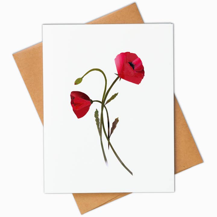 Red Poppy lykønskningskort for engroshandel hos Angela Doak