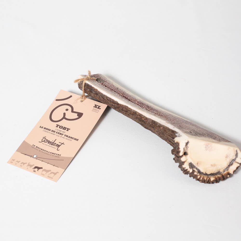 Evident - Wholesale Pet Bone/Rawhide - Dog - TOBY - Sliced deer antler to chew for dogs6