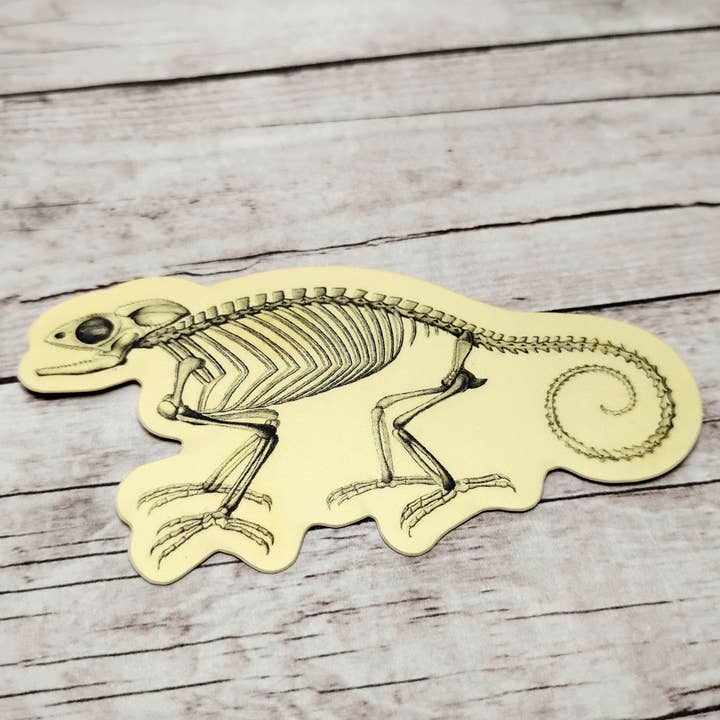 Fable & Fen, LLC - Wholesale Sticker - Bare Bones Chameleon Sticker1