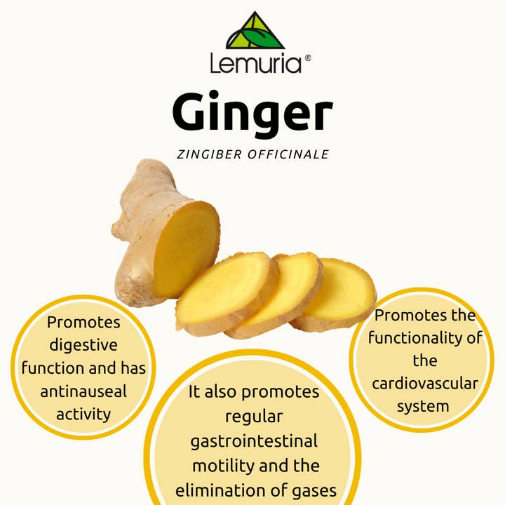 Lemuria - Wholesale Oral Supplement/Vitamin - Total Extract Supplement for Digestion - GINGER 30 ml2