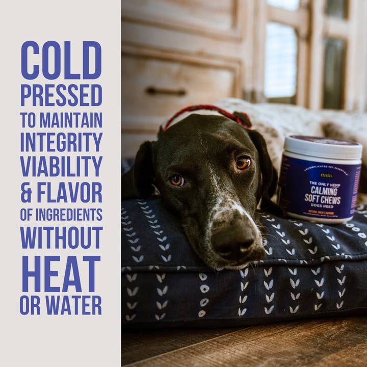 Natural Rapport - Wholesale Pet Supplement - Dog - The Only Hemp Calming Soft Chews Dogs Need