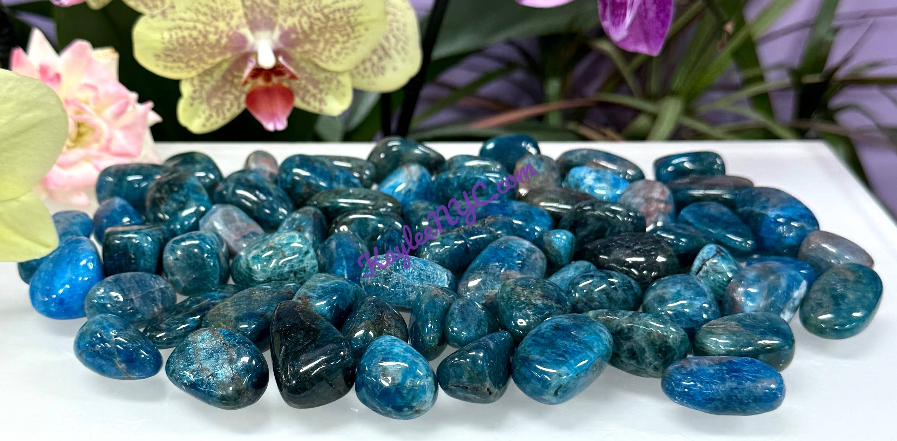KayleeNYC - Wholesale Spiritual Stone/Crystal - 2 Lbs Natural Apatite Tumble Healing Energy3