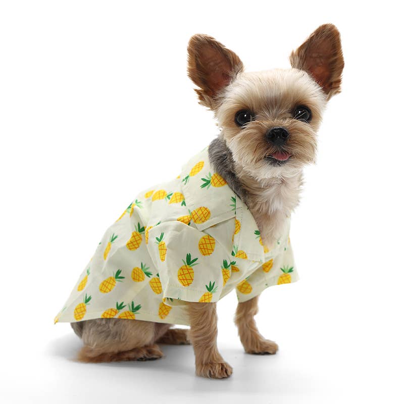 Dogo Pet - Wholesale Pet Shirt - Dog - Pineapple Shirt Yellow