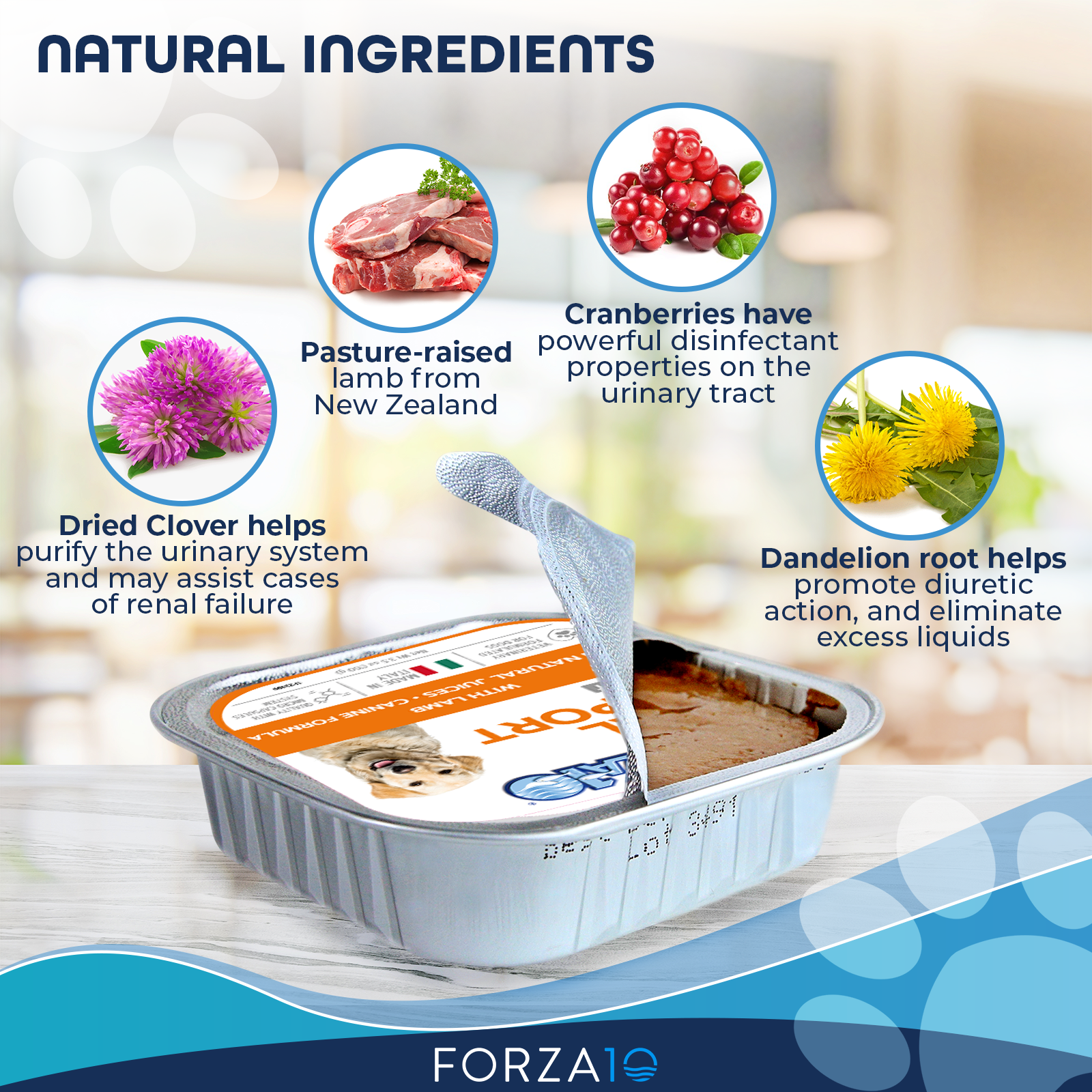 Forza10 Pet Food – comida - Cão por atacado – Forza10 Actiwet Renal Support Alimentos para cães enlatados3