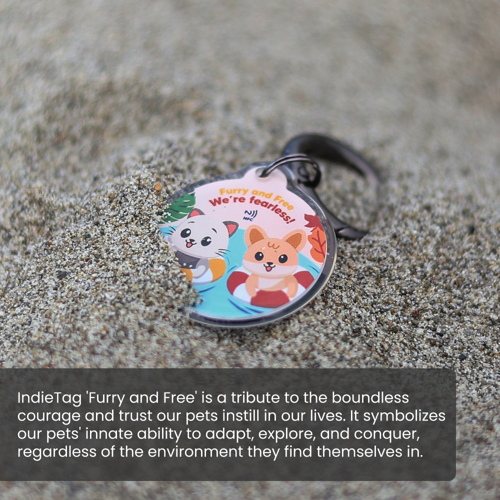 Pawnec - Wholesale Pet Identification Tag - Cat/Dog - IndieTag "Glow n Go"14