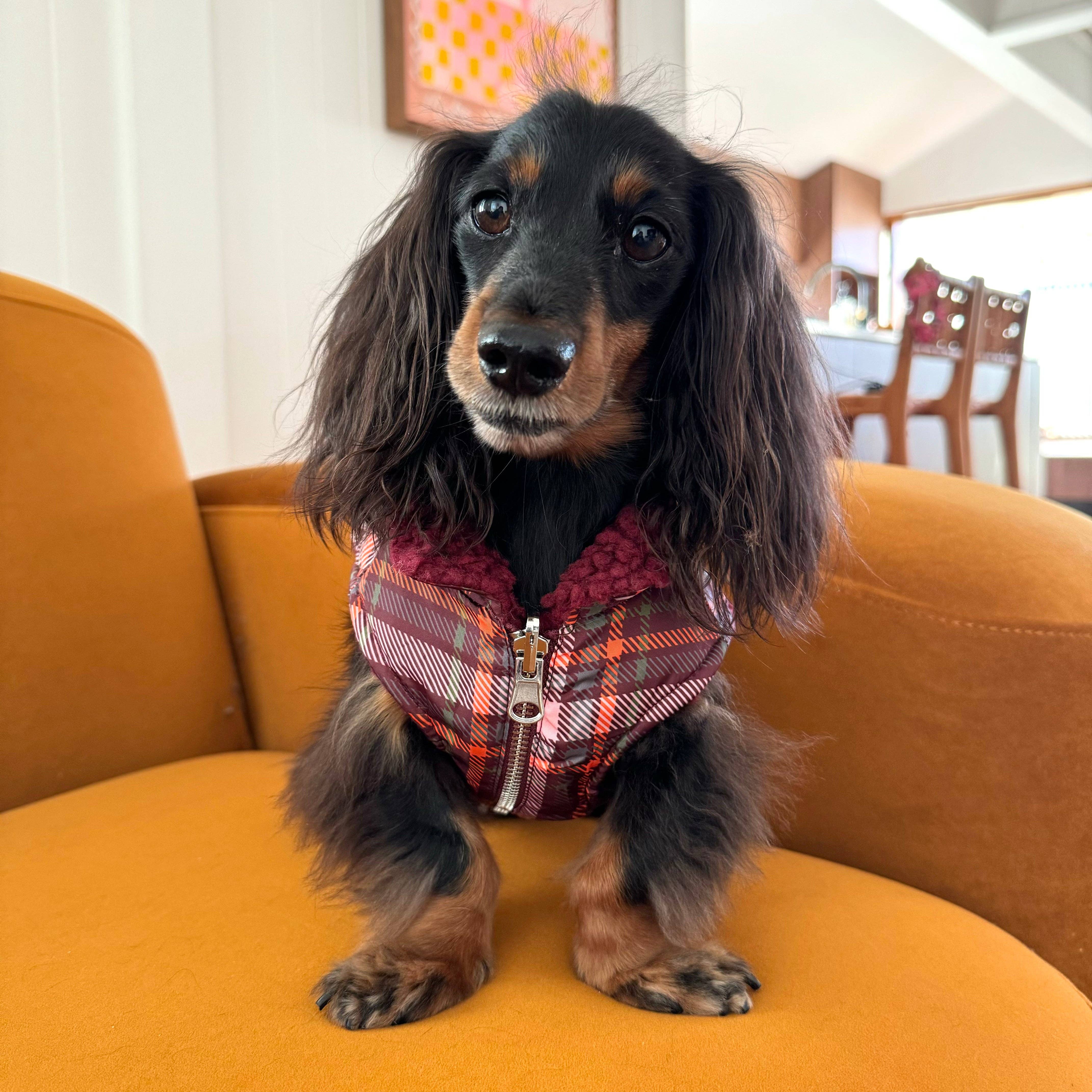 teddy fleece only jacke camilla