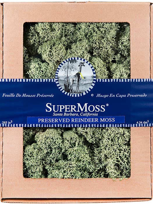 Musgo de reno, verde musgo, 4 onzas para venta al por mayor de SuperMoss