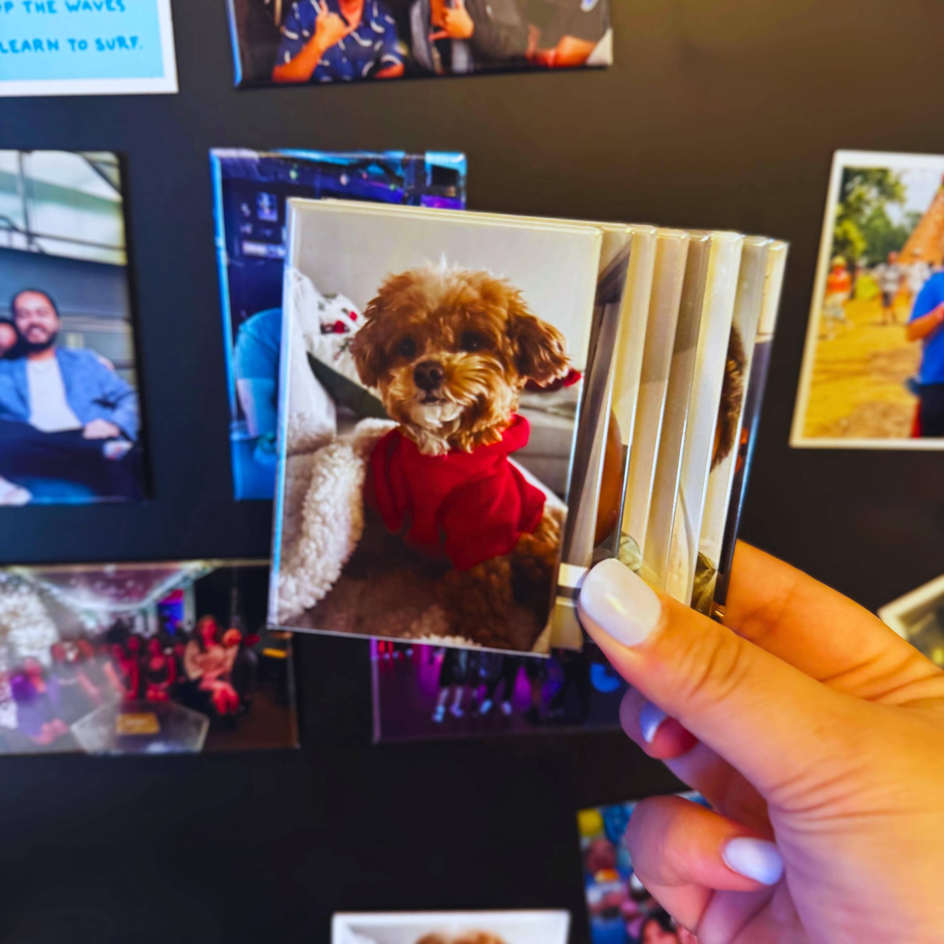 Tieu Magnetic - Wholesale Magnet - Custom 2x3 Photo Fridge Magnets Personalized Gift4