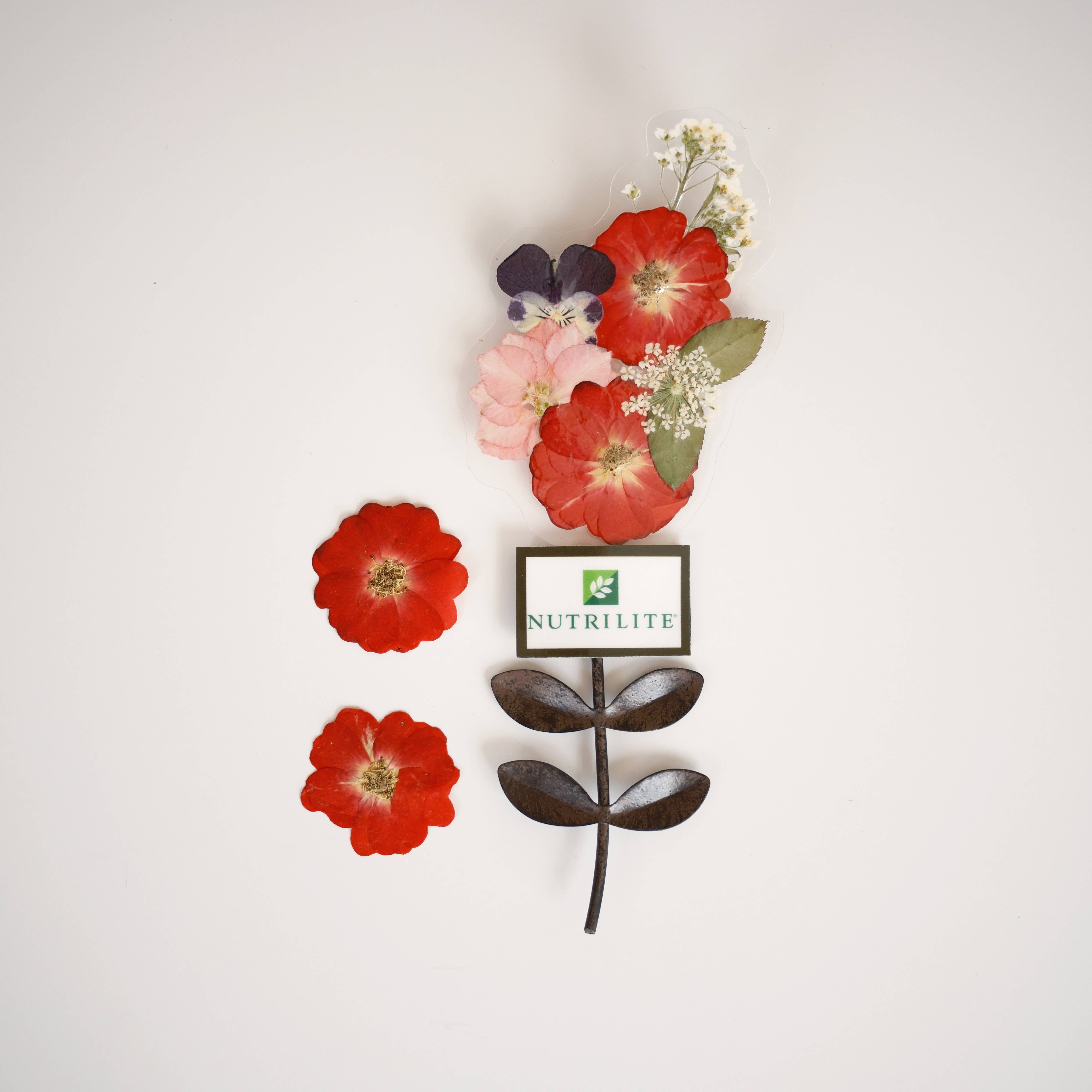 Sunnie Lane - Wholesale Dried/Pressed Flowers - Real Flower Gift & Souvenir - Custom Gifts2