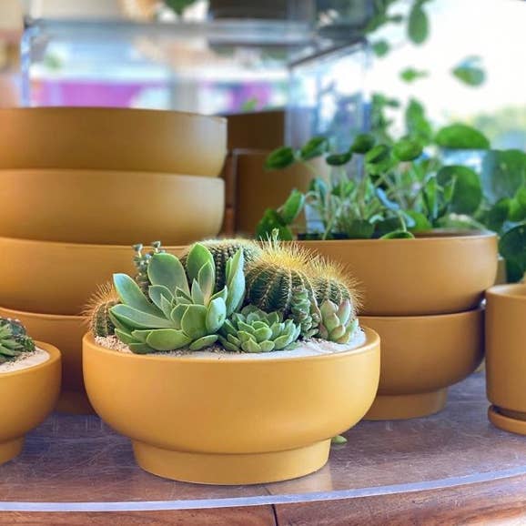Momma Pots – wholesale Plant pot – 7" Pedestal Home and Garden Bowls19
