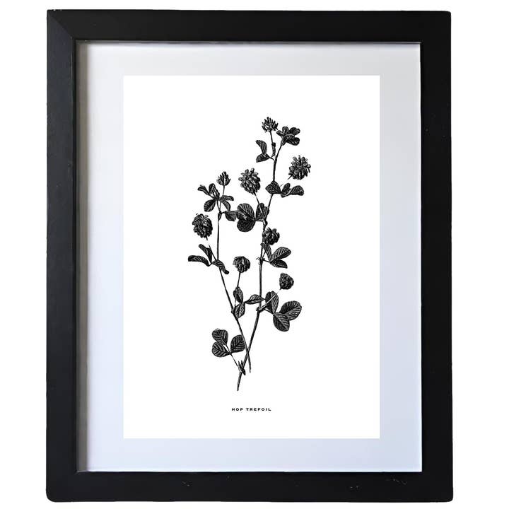 Coultura – wholesale Gallery wall set – Framed Vintage Botanical Floral Art Prints: Set Of Four5