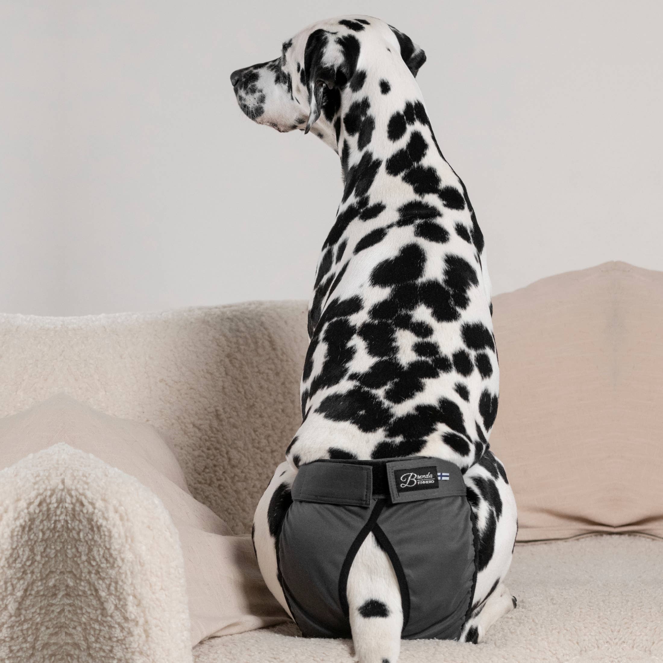 FINNERO - Wholesale Pet Diaper - Dog - FINNERO BRENDA Dog Hygiene pants, 3 colors, Washable Diaper21