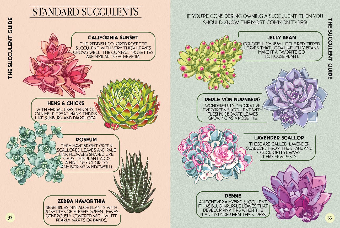 Boxer Gifts EU - Wholesale Home & Garden Book - Houseplant Survival Guide - Tips and Tricks2