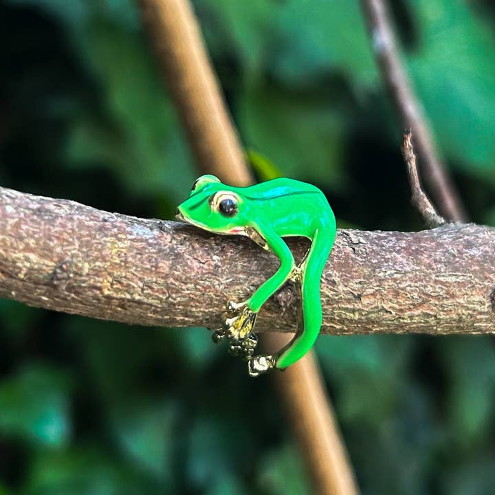 Gifts Amazing! - Wholesale Outdoor Ornament/Decor - Frog Plant Rings
