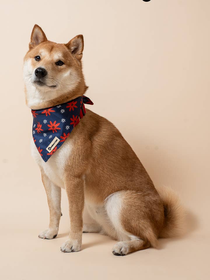 Bandana pour animaux - Jardin de la liberté pour la vente par Pawsbury Lane