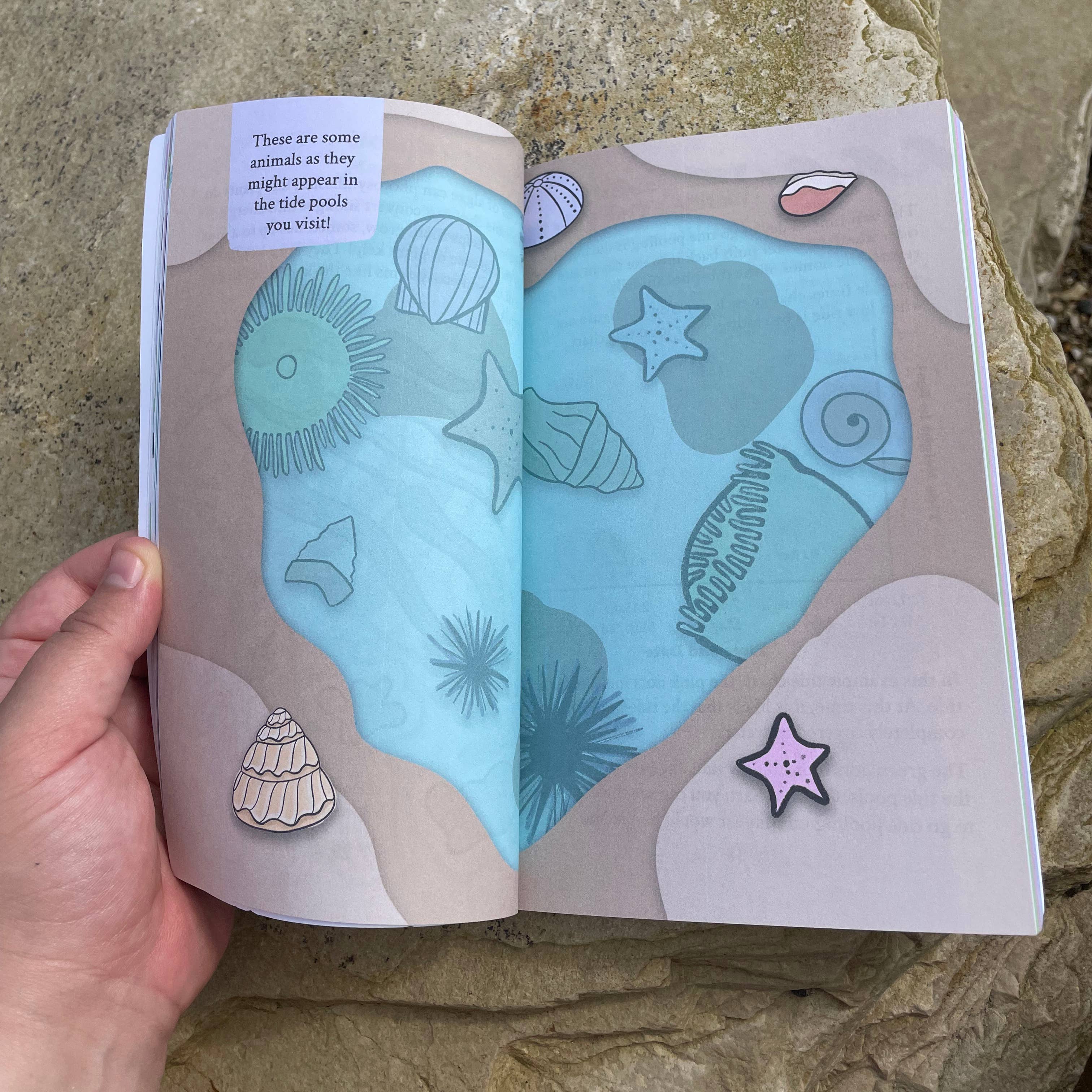 Environerd - Wholesale Nature & Outdoors - Coastal California Nature Journal7