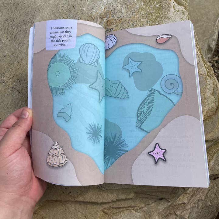 Environerd - Wholesale Nature & Outdoors - Coastal California Nature Journal7