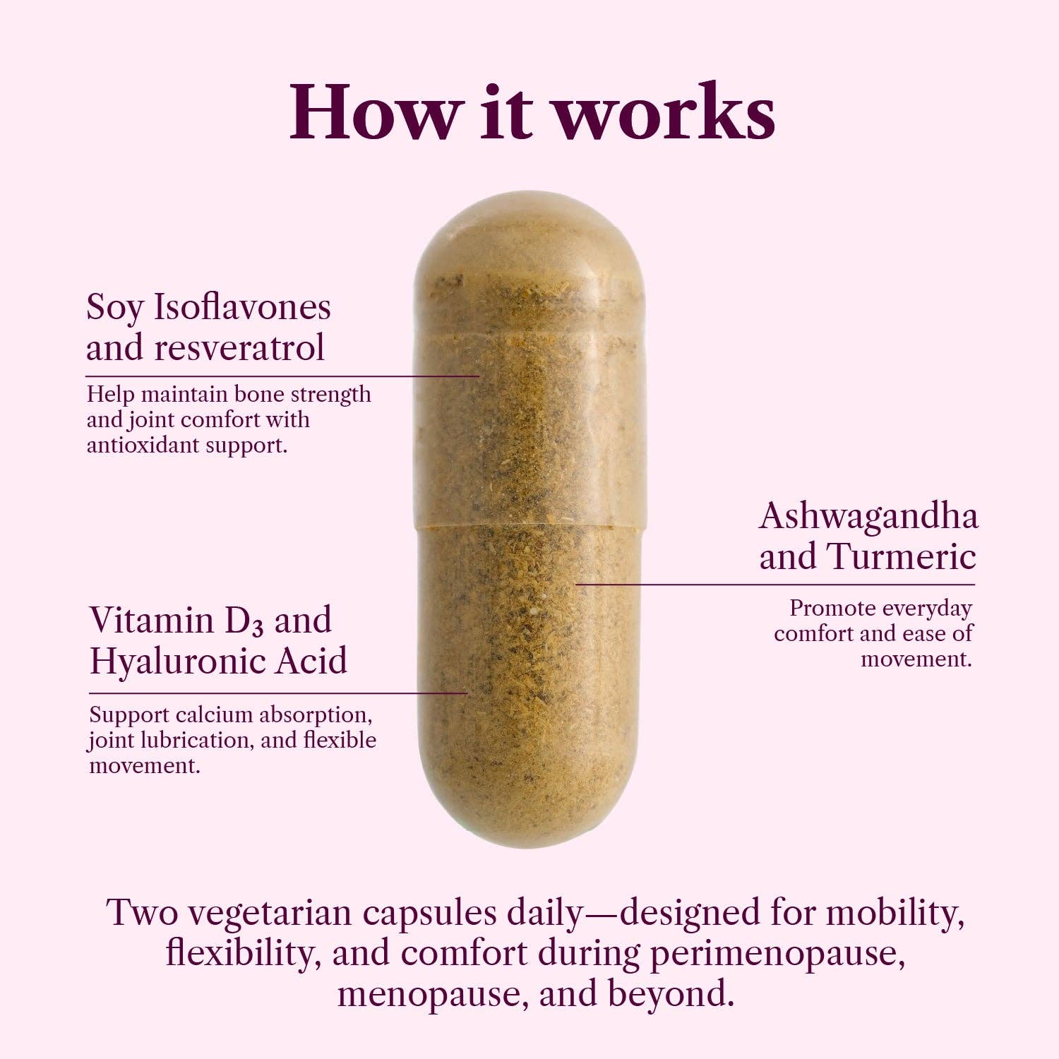 SEASON34 - Wholesale Oral Supplement/Vitamin - Menopause Bone & Joint Health – Comfort & Mobility Support2