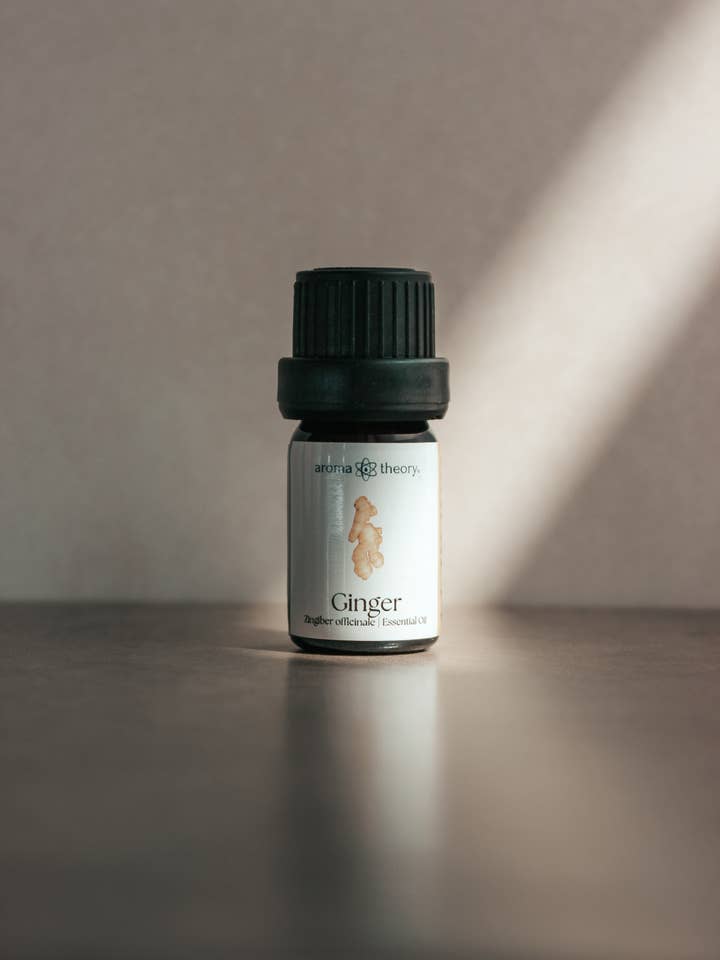 Ginger Essential Oil | 5ml for wholesale by Aroma Theory