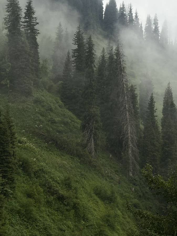 Mountain Therapy for wholesale by Hyalite & Co