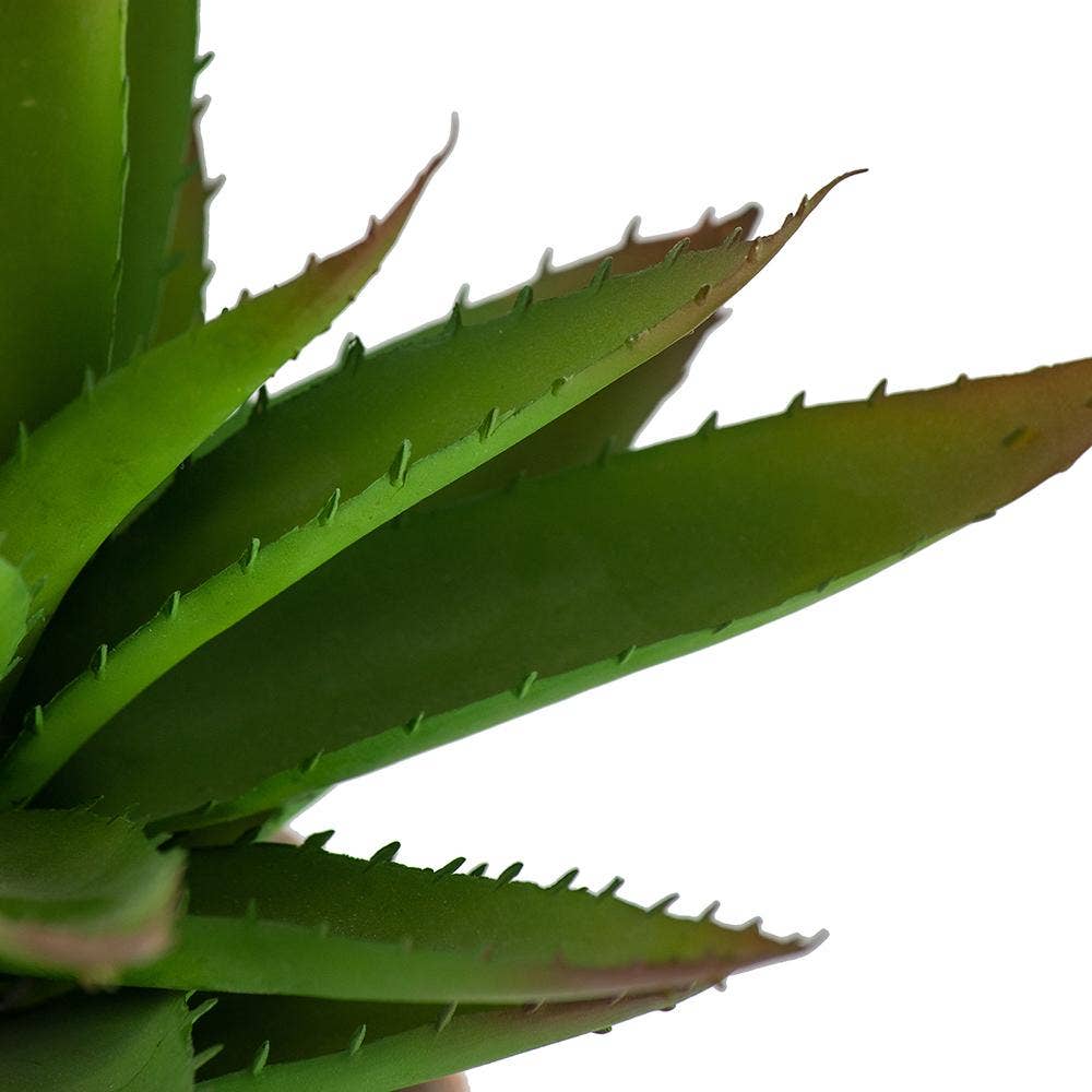 A&B Home Group Inc. – wholesale Artificial plant – Succulent1