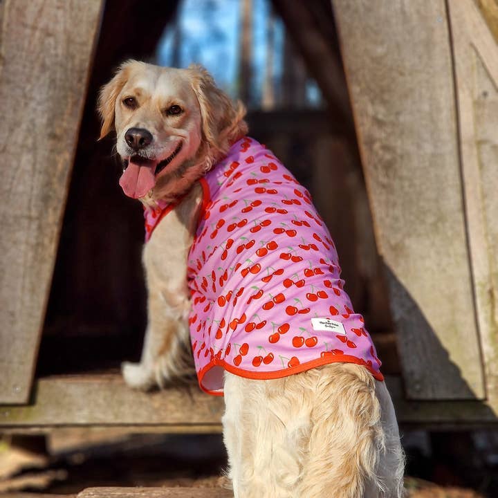 The Paw Print Boutique - Wholesale Pet Vest - Dog - The Cherry on Top Cooling Vest3