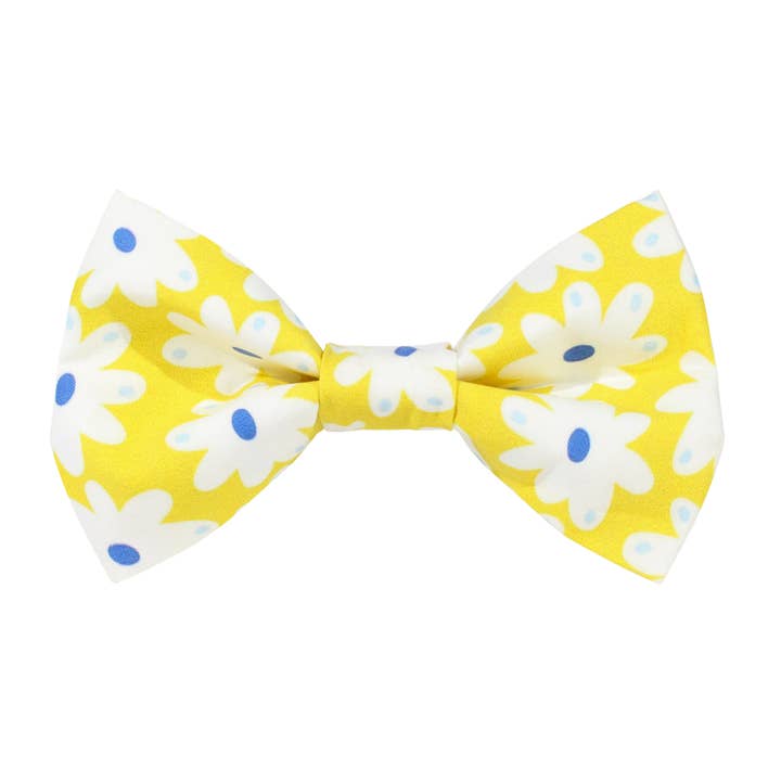 Nœud papillon pour chien Happy Daisies pour la vente par Pretty posh pups
