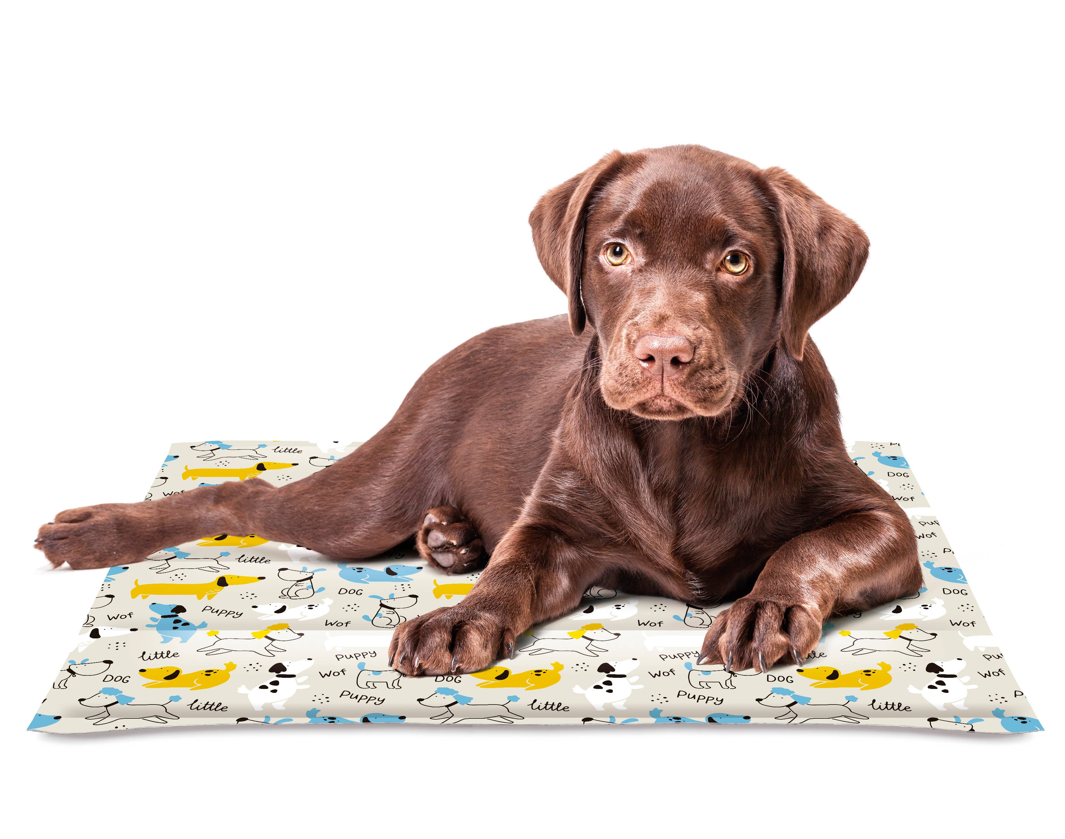 Multicolored Cool Mat Summer Dog Cool Mat Dog for wholesale on Faire2