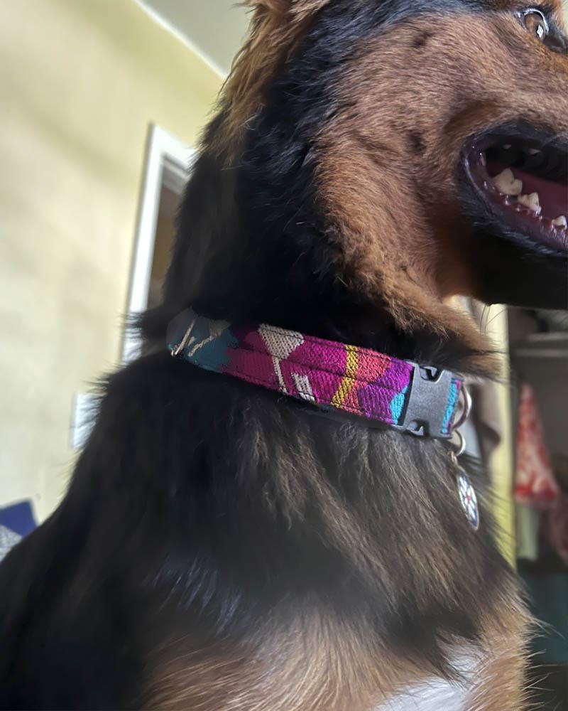Pichincha - Wholesale Pet Collar - Dog - Tribal Pattern Ecuadorian Large Pet Dog Thin Collar3