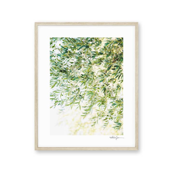 Ocean Sky Lab - Wholesale Art Print - Art Print | Luminous Olive Branches | Green Nature Print