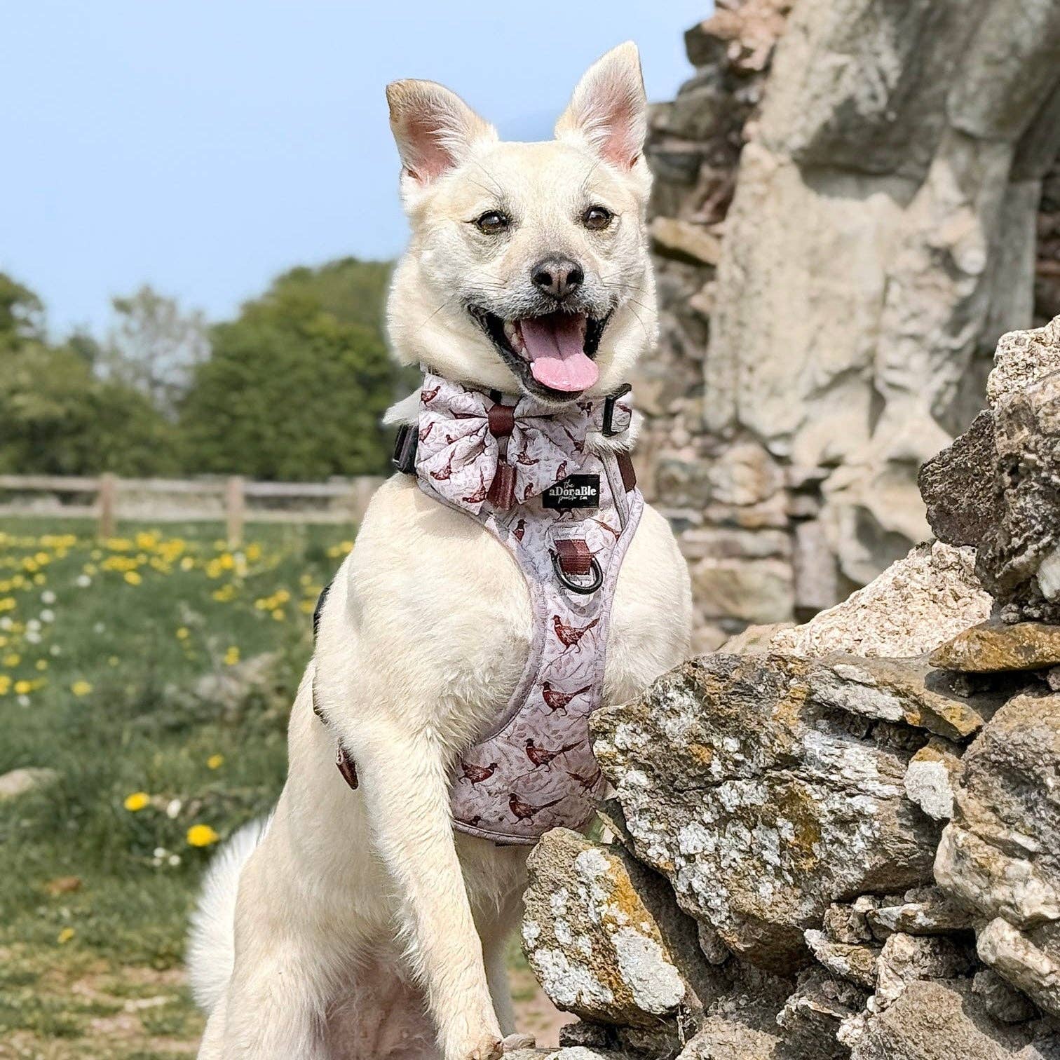 The aDoraBle Pooch Company – wholesale Pet bow tie – Dog – Dog Sailor Bow Tie - Farmland Pheasant9