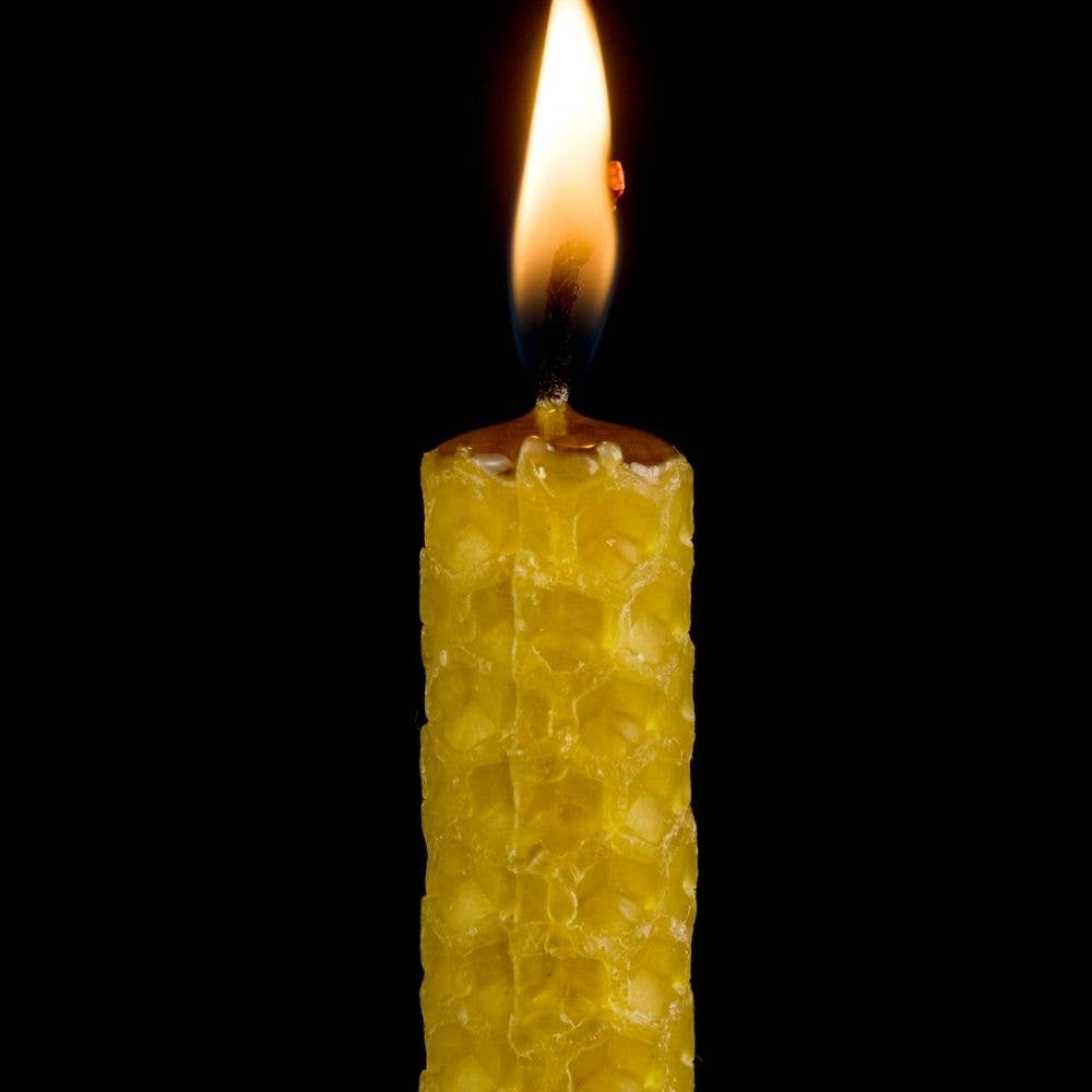 L'abella Miel EEUU - Venta al por mayor Velas de diseño llamativo - L'ABELLAMEL Velas  3 Packs de 6 Unidades 3,94x0,79 Inch3