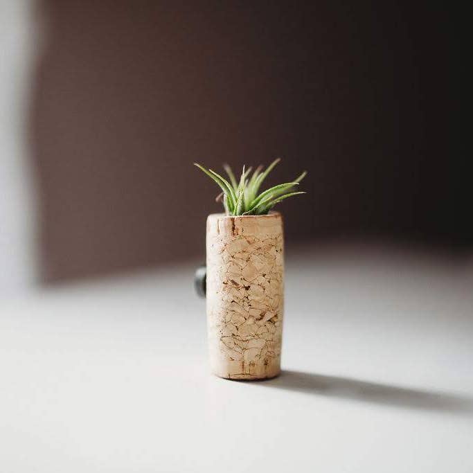 The Simply Crafty Shop - Wholesale Magnet - Magnetic Wine/ Champagne Cork Air Plant Holder2