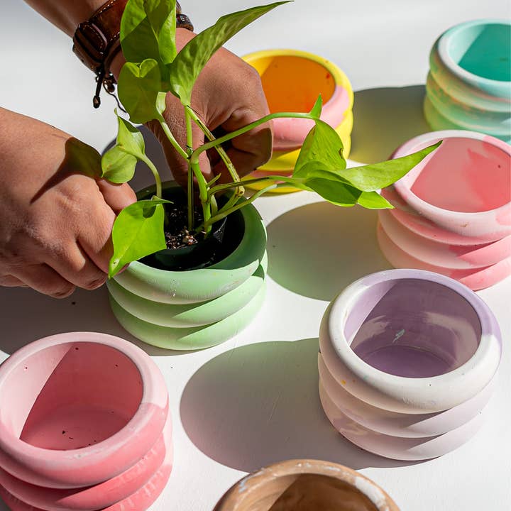 The Plant Committee - Wholesale Plant Pot - Mini Bubble Pot