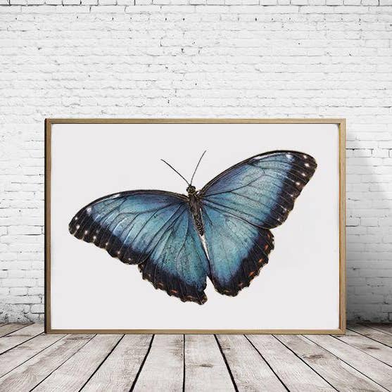 Blue Morpho - Print A2 (landschap) voor wholesale door Hidden Planet