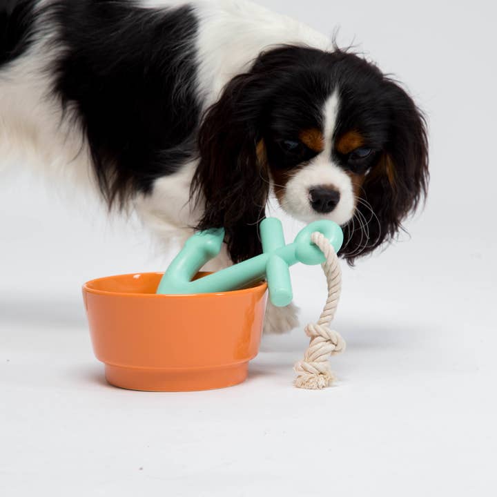 Waggo - Wholesale Pet Bowl - Cat/Dog - Gloss Ceramic Dog Bowl1