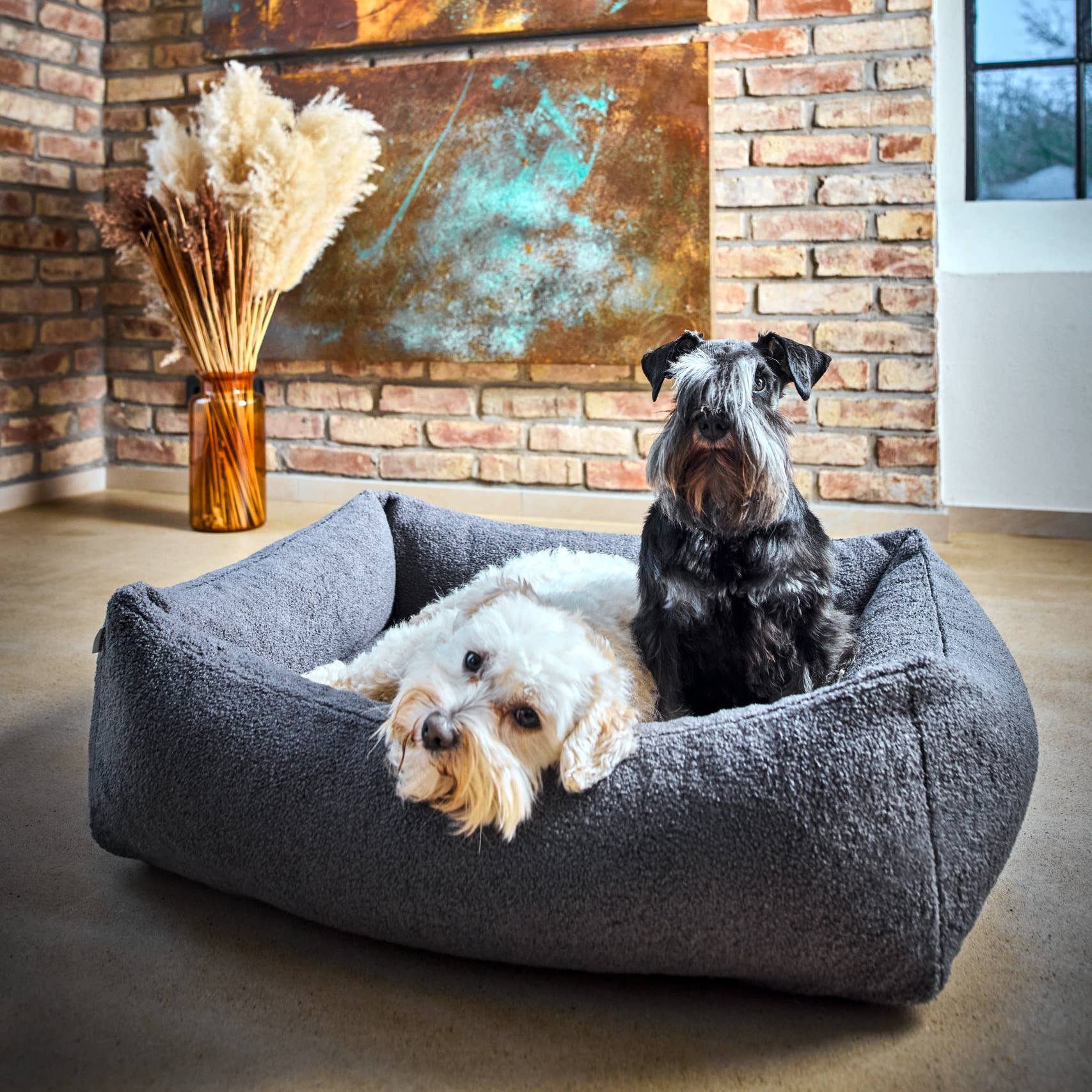 LABONI - Volentis GmbH - Vente Panier – chien - Lit classique pour animaux TEDDY8