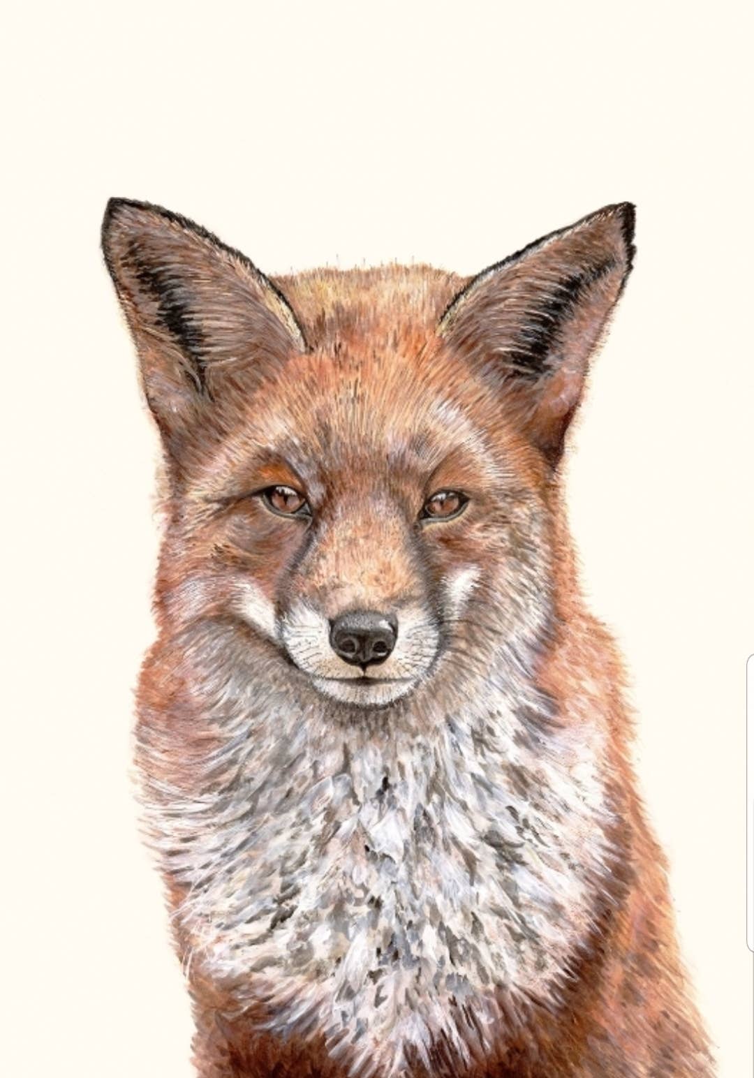 Tracey Parsons Art – wholesale Everyday greeting card – Red Fox A6 Greeting Card - Blank 3