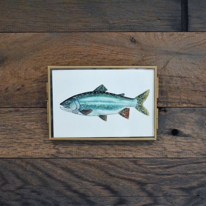 Lake Trout 4x6 Akvareltryk for engroshandel hos Hadley Richards Designs