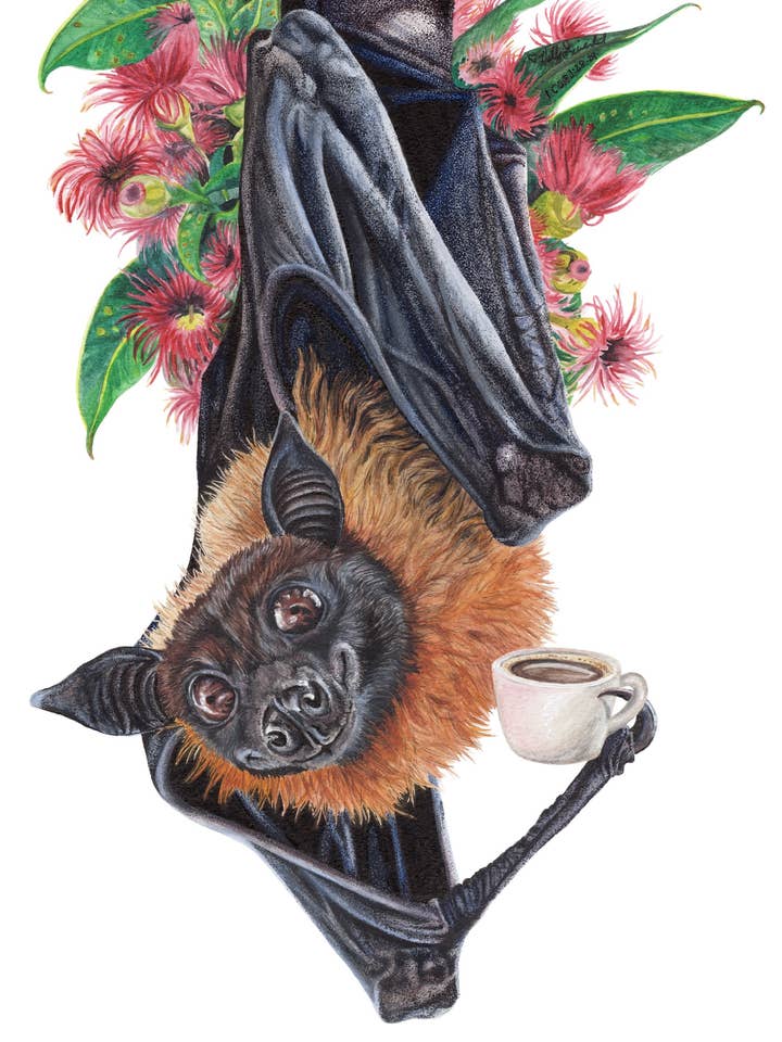 Bat animal Coffee Archival signed Print by Holly Simental for wholesale by Holly Simental