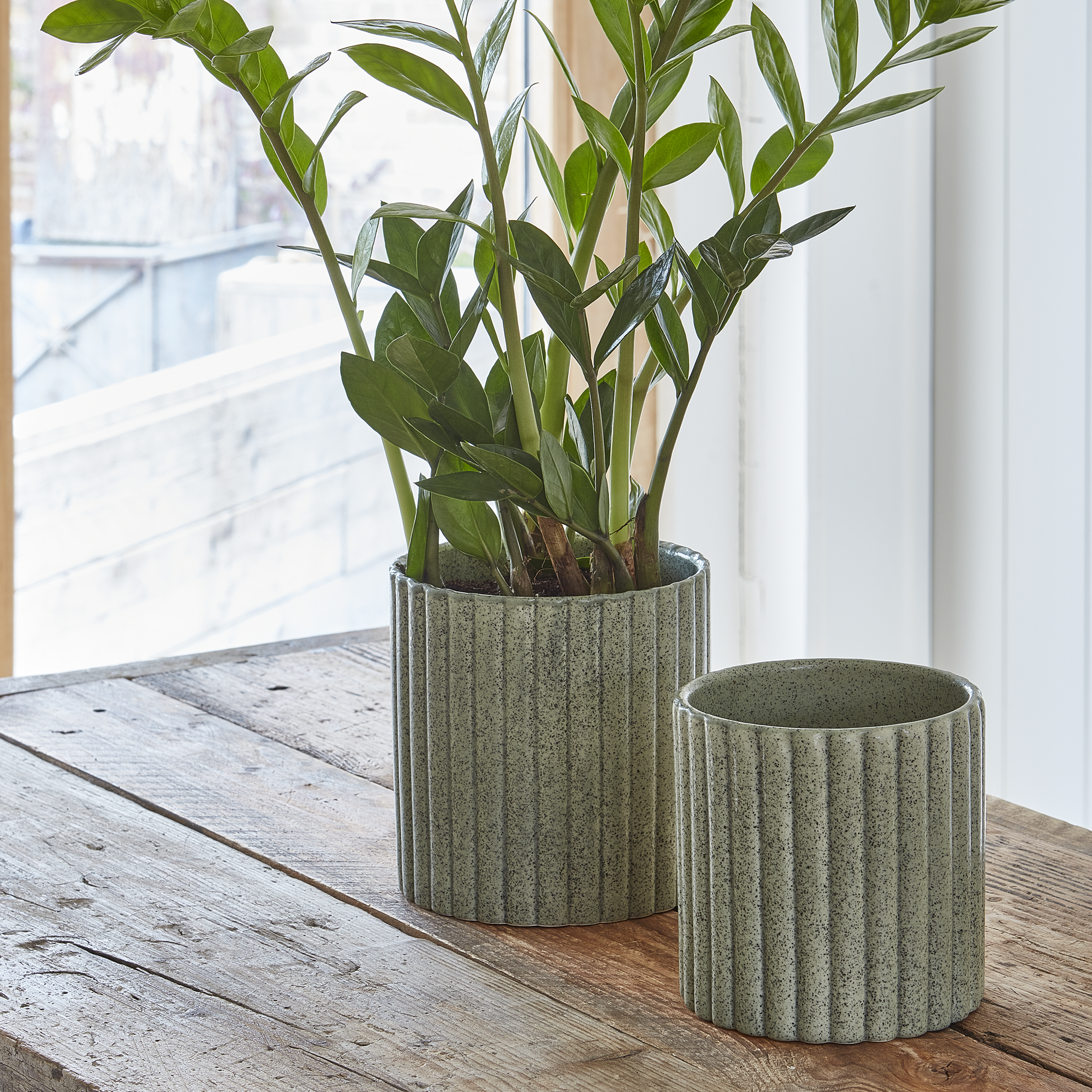 Ivyline – wholesale Indoor pot – Azalea Stone Ribbed Speckle Earthenware Indoor Planter7