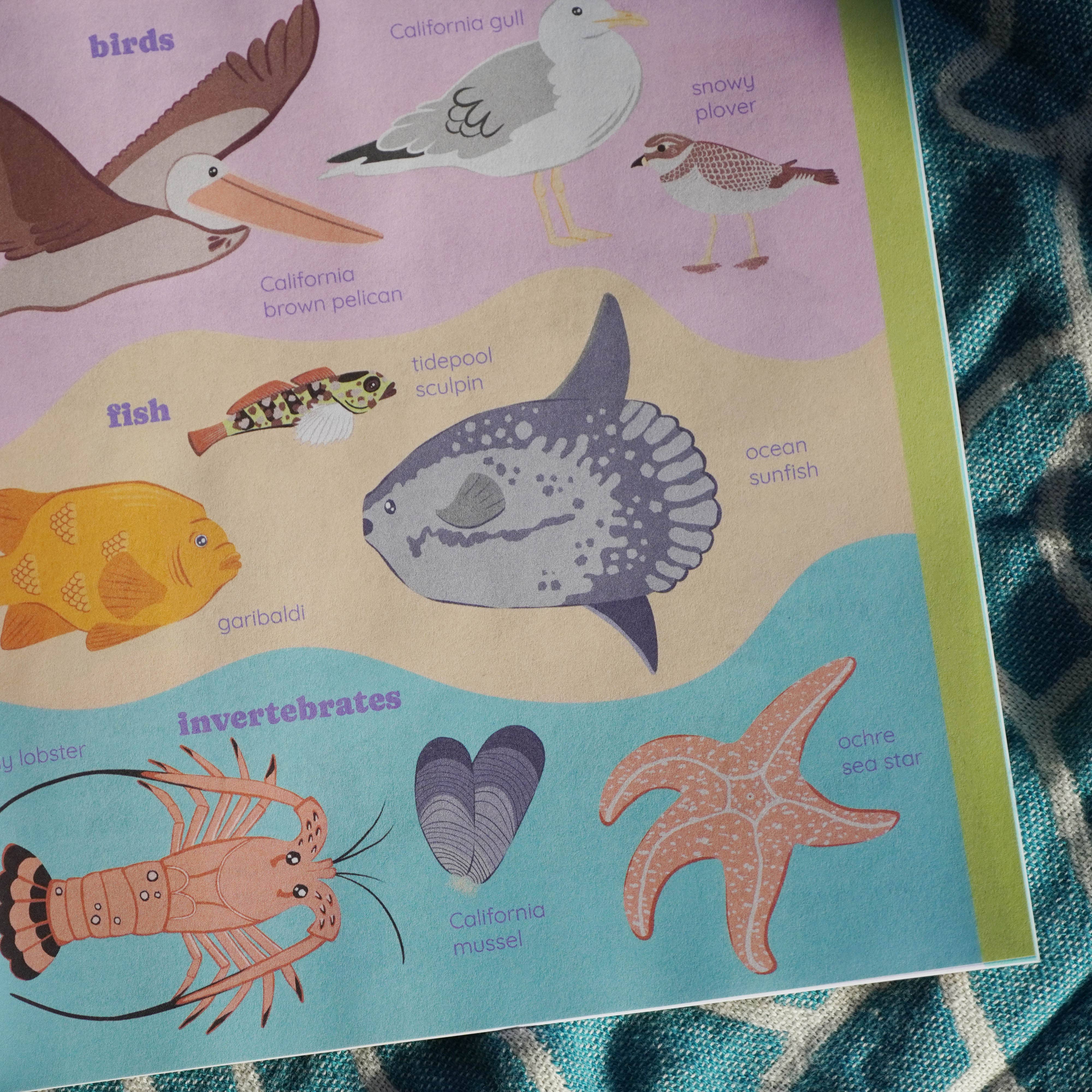 Environerd - Wholesale Nature & Outdoors - Beach Nature Journal5