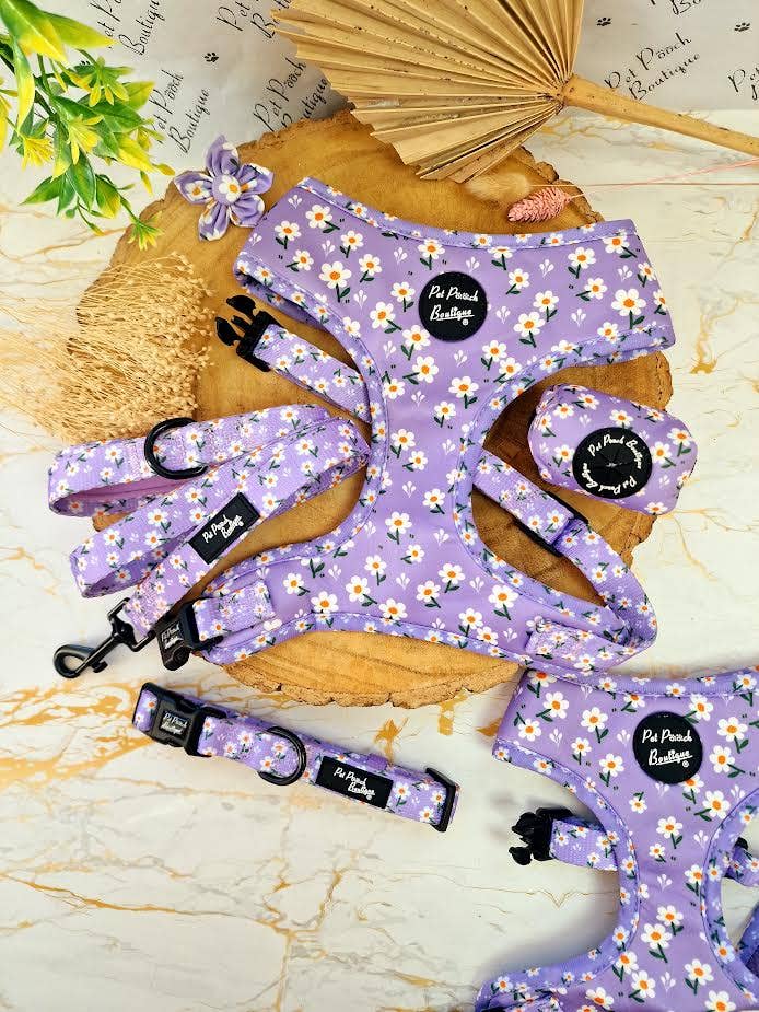 Pet Pooch Boutique – wholesale Pet harness – Dog – Lucky Little Lavender Daisies Dog Harness w/Accessories5
