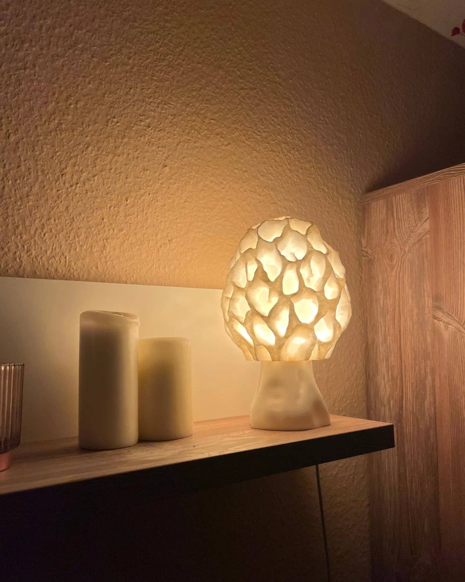 Roomberry - Wholesale Accent/Desk Lamp - Morel Mushroom Lamp - natural mushroom design, soft evening light8
