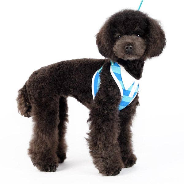 Dogo Pet - Wholesale Pet Harness - Dog - EasyGO Polo21