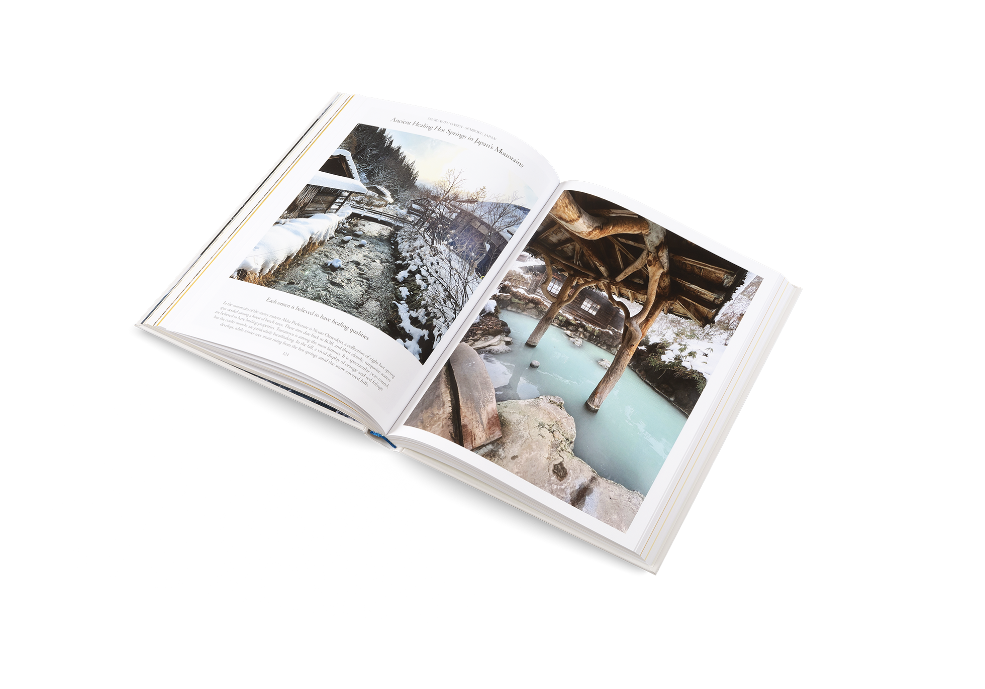 gestalten & teNeues - Wholesale Display Book - The Nature of Swimming8