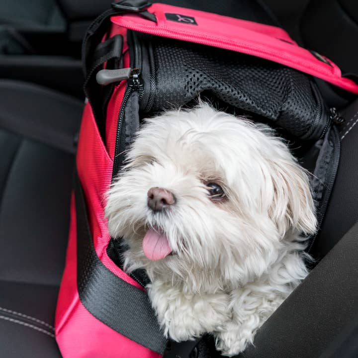 Sleepypod - Wholesale Pet Carrier - Dog - Sleepypod Atom19