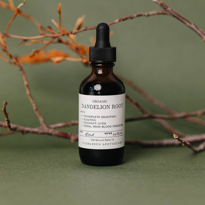 Evergreen Apothecary - Wholesale Tincture - Dandelion Root Tincture, 2oz, Alcohol Free1